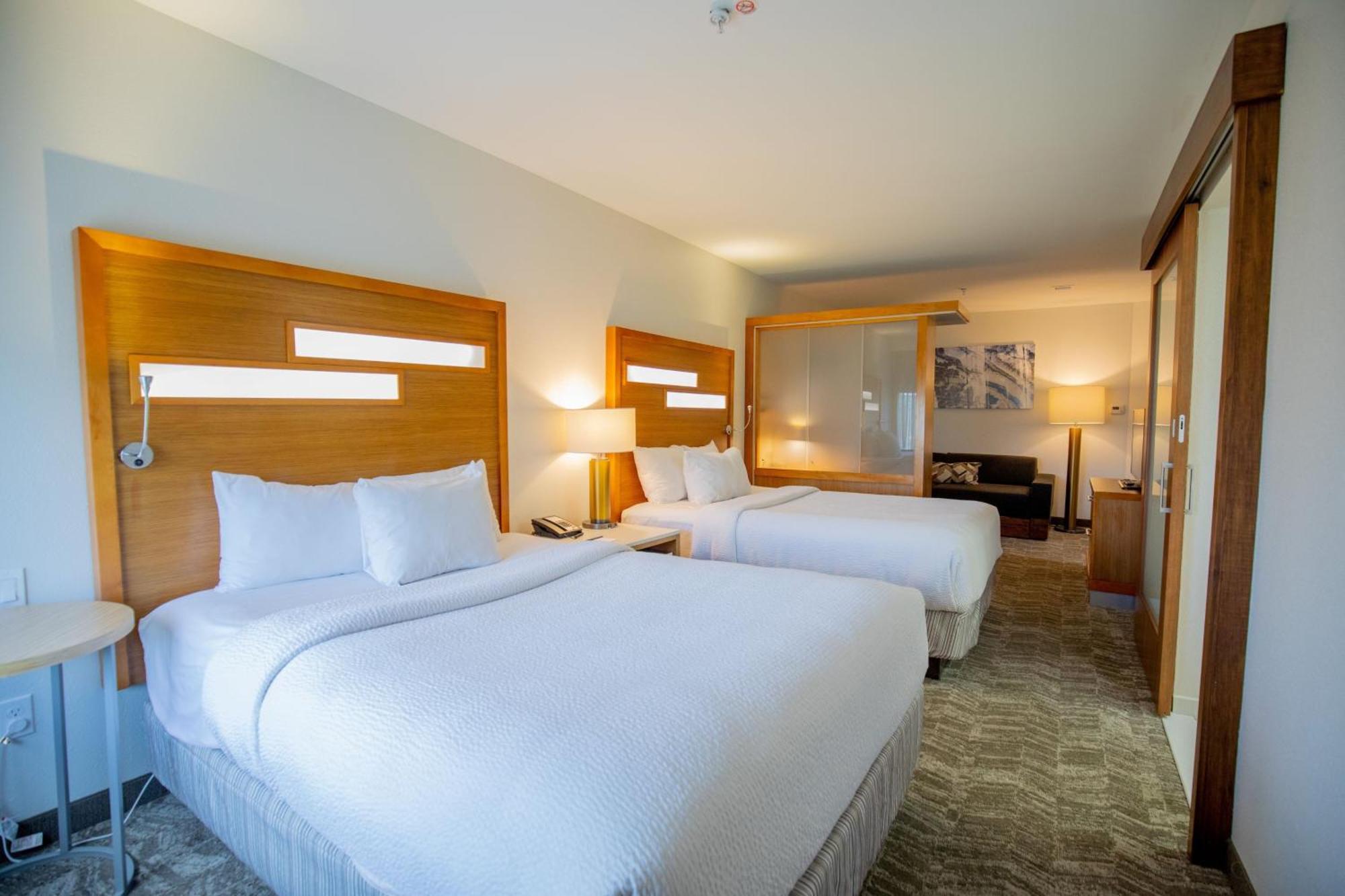 Springhill Suites By Marriott Baton Rouge Gonzales Extérieur photo